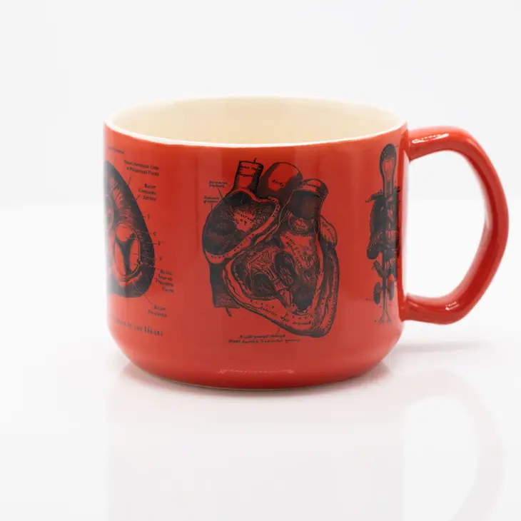 Anatomical Heart Mug