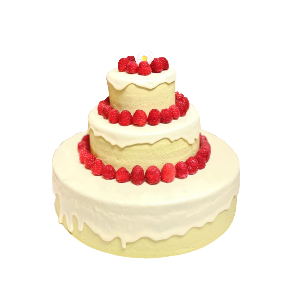 
                      
                        R & P (raspberry & pistachio)
                      
                    