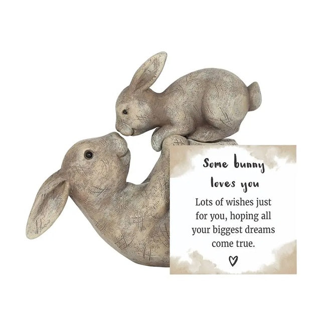 Some Bunny Loves You - Figurine