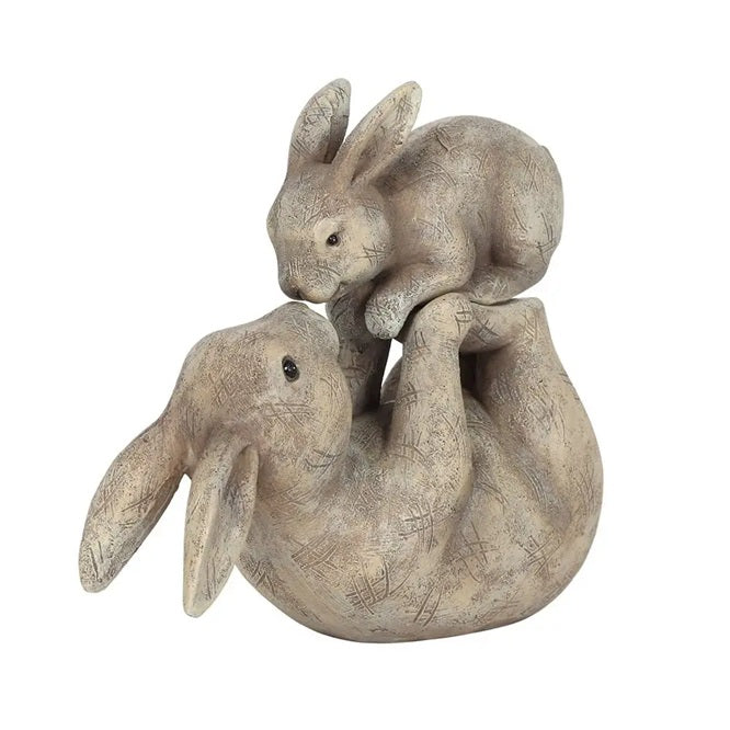 
                      
                        Some Bunny Loves You - Figurine
                      
                    