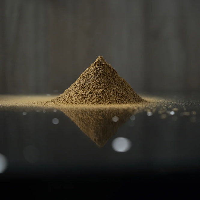 Kuki Hojicha