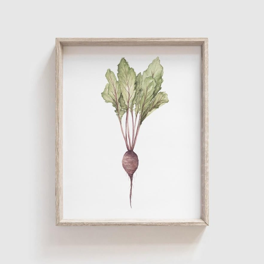 Beet Art Print