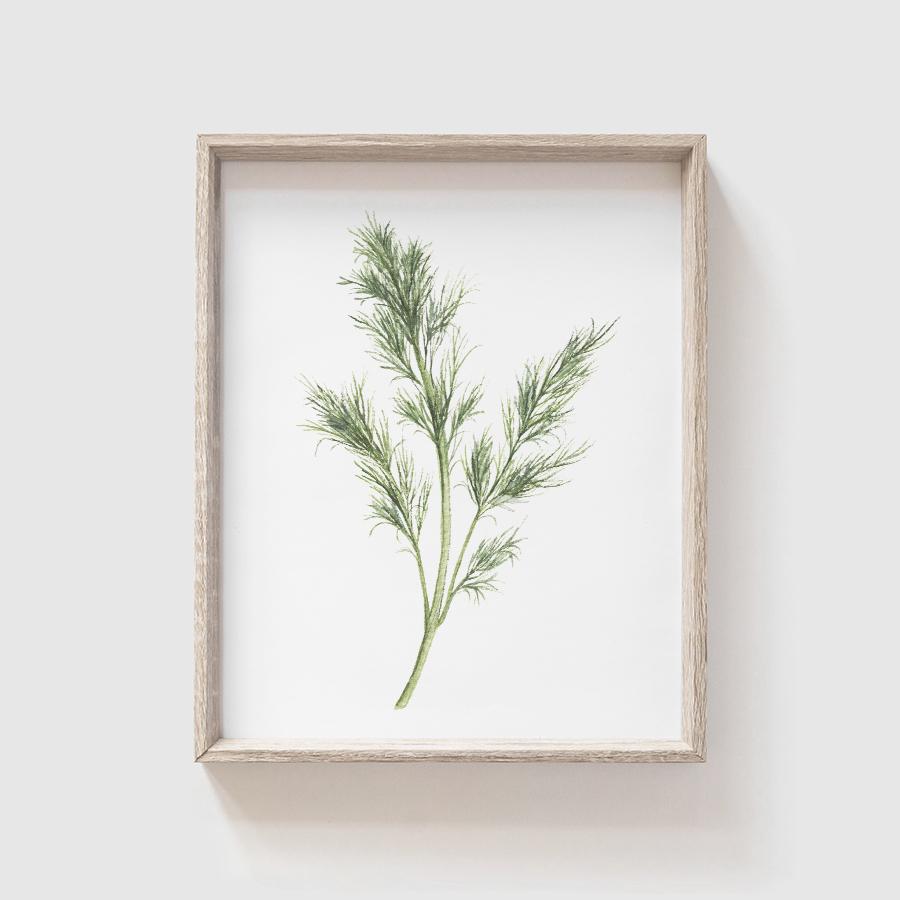Dill Art Print