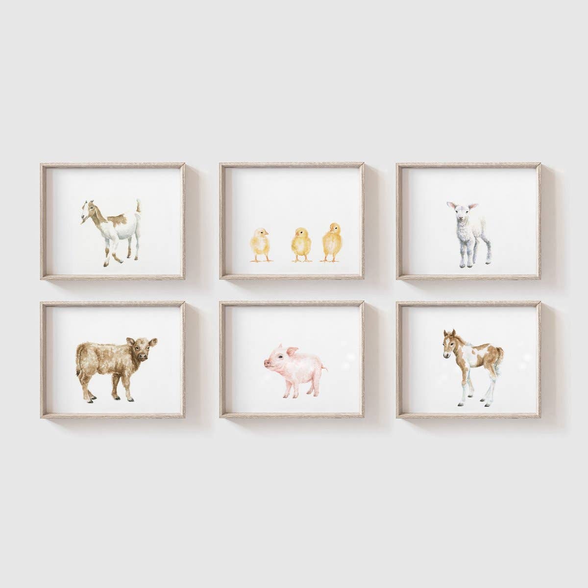 Chicks Art Print