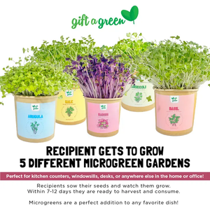 
            
                Load image into Gallery viewer, Gift a green - 5 Microgreens!
            
        