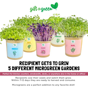 Gift a green - 5 Microgreens!