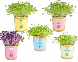 Gift a green - 5 Microgreens!