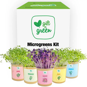 
            
                Load image into Gallery viewer, Gift a green - 5 Microgreens!
            
        