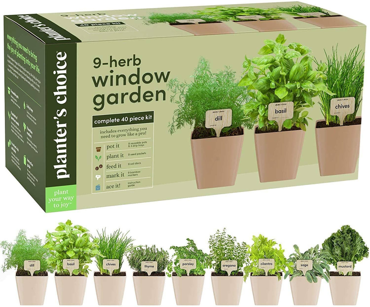 Window Garden - Herbs