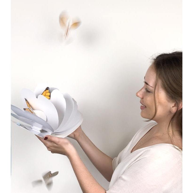
                      
                        Magic Butterfly
                      
                    