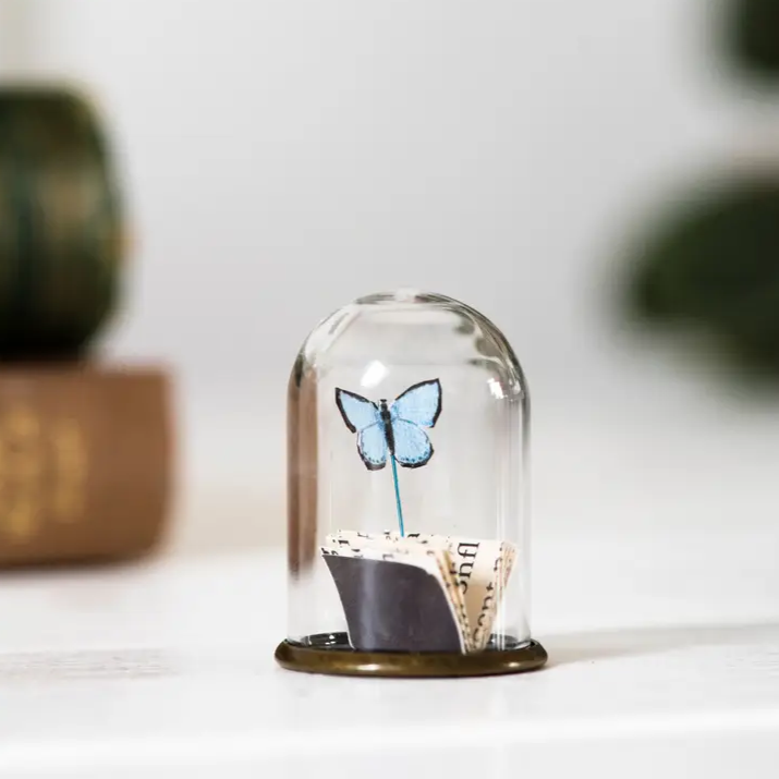 Paper Miniature Butterfly & Book in Glass Dome (more colour options)