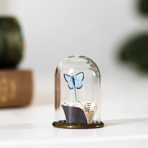 
            
                Load image into Gallery viewer, Paper Miniature Butterfly &amp;amp; Book in Glass Dome (more colour options)
            
        