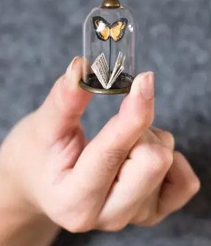 Paper Miniature Butterfly & Book in Glass Dome (more colour options)