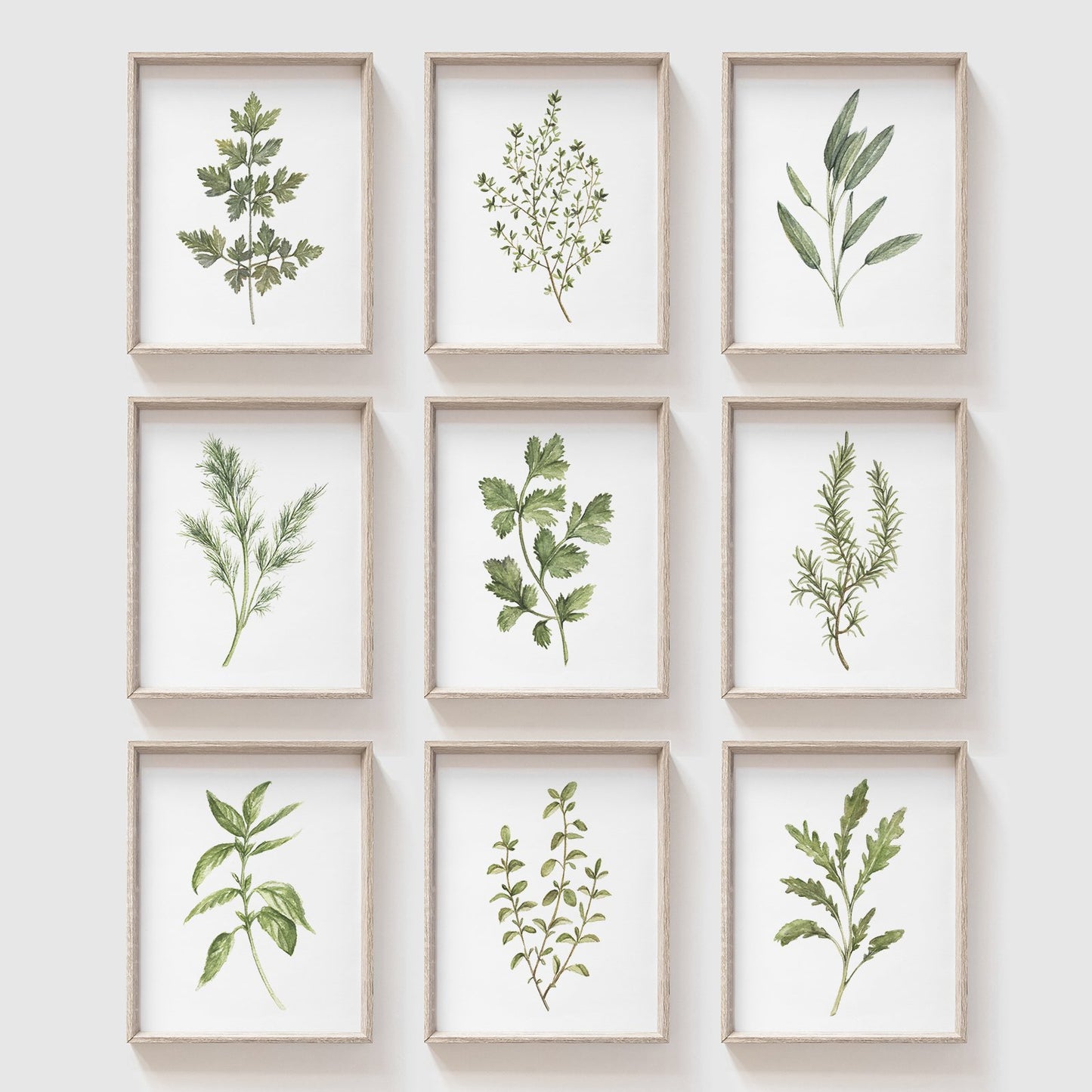 Thai Basil Art Print