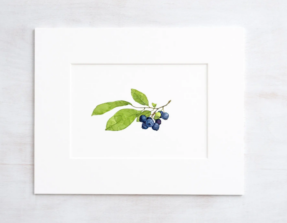 
            
                Load image into Gallery viewer, Blueberry Art Print
            
        