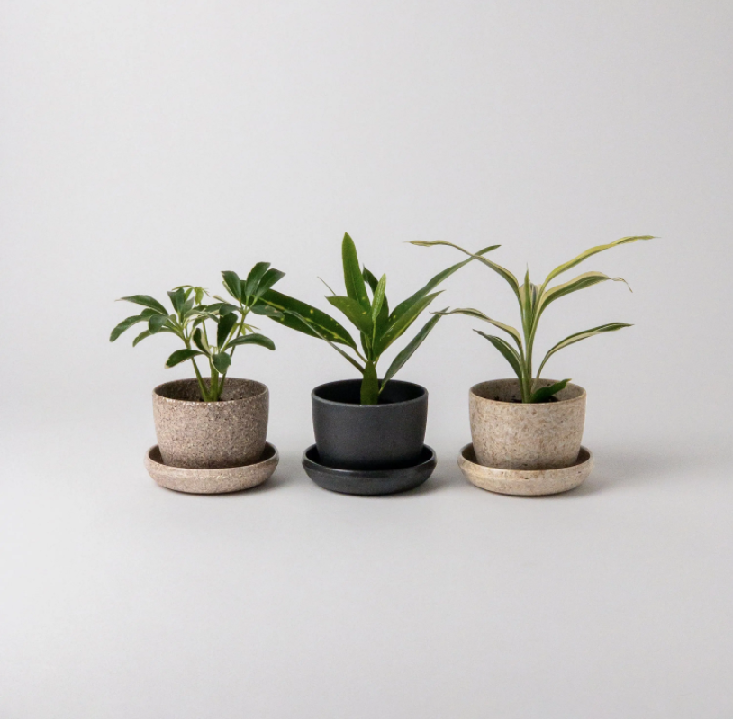 Mini Planters