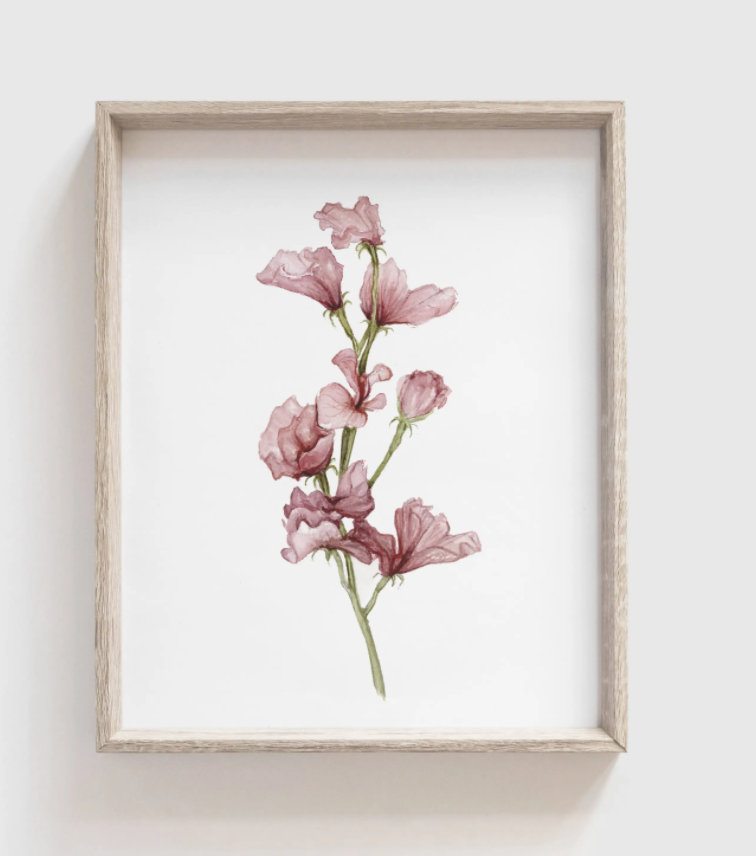 Sweet Pea Art Print